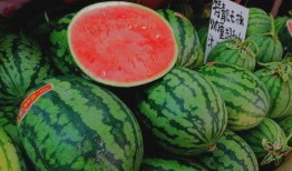 怀仁网红大瓜最新消息 吃瓜群众在七零,七零社区热议事件全解析”