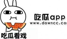 今日吃瓜是什么软件 网红大瓜下载,网红大瓜下载，一网打尽娱乐圈最新动态