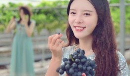 吃瓜搞笑视频 网红大鹅陈妍染 热点黑料第一站,吃瓜搞笑视频，热点黑料第一站揭秘